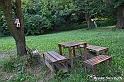VBS_4871 - Il bosco fatato - Montaldo Roero